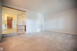Carpeted living space with a decorative room divider featuring a built-in bookshelf - 