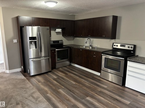 4908 17 Avenue, Edmonton, AB - Indoor Photo Showing Kitchen With Double Sink