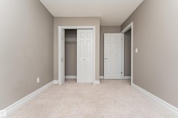 Neutral-toned walls and plush carpeting - 