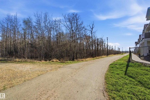 Paved pathway bordering a natural area with mature trees - 64 17832 78 Street, Edmonton, AB - Outdoor With View