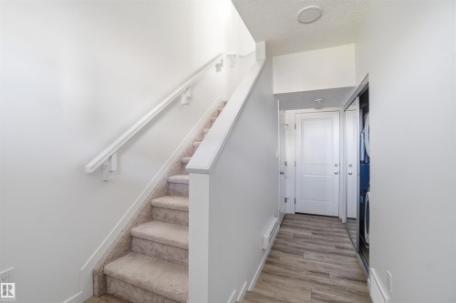 Carpeted staircase with white handrail - 64 17832 78 Street, Edmonton, AB - Indoor Photo Showing Other Room
