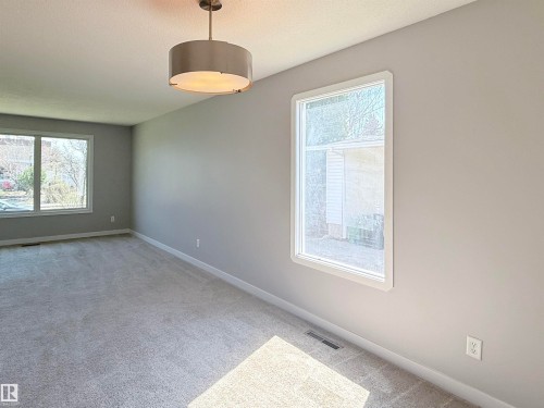 Spacious room featuring neutral carpeting and light gray walls - 3912 108 Street, Edmonton, AB - Indoor Photo Showing Other Room