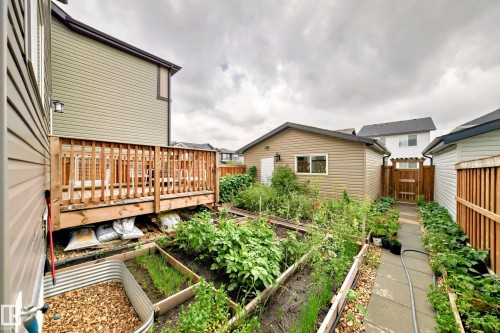 Expansive backyard featuring a wood deck, multiple garden beds, a detached shed, a paved pathway, and a wooden fence - 4609 Alwood Way, Edmonton, AB - Outdoor With Deck Patio Veranda With Exterior