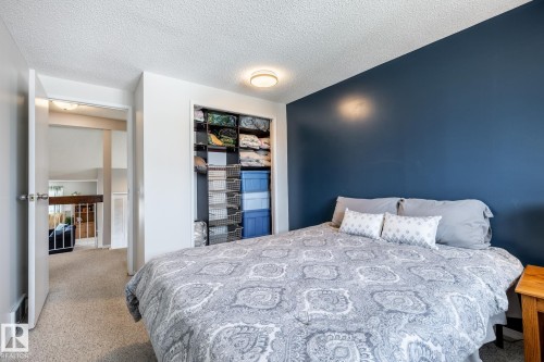 Bedroom featuring a deep blue accent wall, neutral carpeting, and a built-in closet with custom shelving - 3608 16A Avenue, Edmonton, AB - Indoor Photo Showing Bedroom
