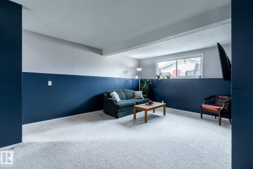 Lower-level living area featuring neutral carpet flooring and a two-tone wall treatment with a dark accent band - 3608 16A Avenue, Edmonton, AB - Indoor
