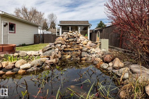 12' x 7' koi pond is a showstopper, with a rock waterfall feature - 3608 16A Avenue, Edmonton, AB - Outdoor