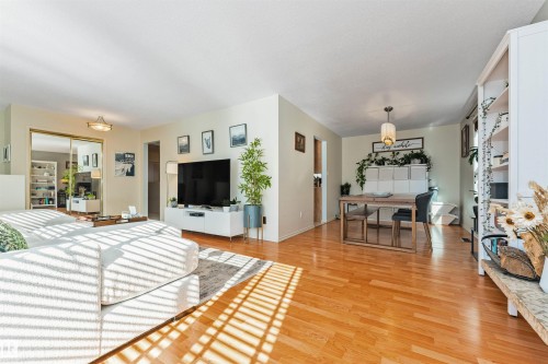 Hardwood-style flooring extends throughout the open concept living and dining areas - 49 Ash Crescent, St. Albert, AB - Indoor Photo Showing Living Room