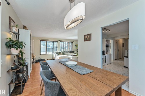 Dining area featuring wood-finish flooring, a contemporary oval pendant light fixture, and an open entryway to an additional living space with large windows - 49 Ash Crescent, St. Albert, AB - Indoor