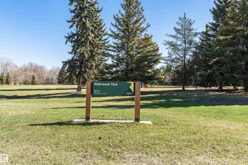 Alderwood Park sign on a grassy expanse, bordered by mature evergreen trees - 49 Ash Crescent, St. Albert, AB - Outdoor With View