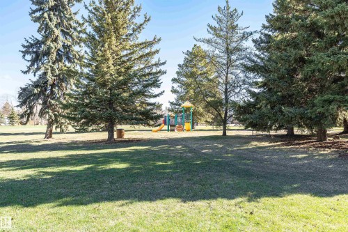 Expansive park setting featuring mature evergreen trees and a vibrant playground structure - 49 Ash Crescent, St. Albert, AB - Outdoor With View