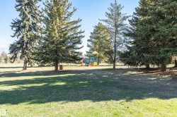 Expansive park setting featuring mature evergreen trees and a vibrant playground structure - 