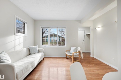 11421 68 Street, Edmonton, AB - Indoor Photo Showing Living Room