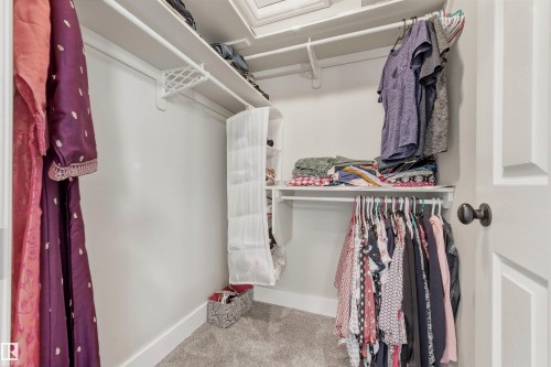 1145 Lincoln Crescent, Edmonton, AB - Indoor With Storage