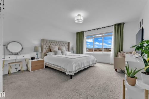 2128 190 Street, Edmonton, AB - Indoor Photo Showing Bedroom