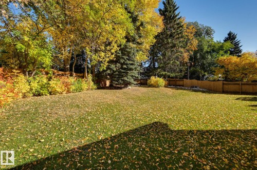 Yes it is a lovely very large yard. - 38 Lancaster Crescent, St. Albert, AB - Outdoor