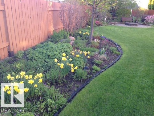 4344 28A Street, Edmonton, AB - Outdoor With View