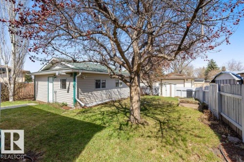 Spacious backyard featuring a sloped lawn, mature tree, and detached outbuilding with siding exterior - 3736 12 Avenue, Edmonton, AB - Outdoor