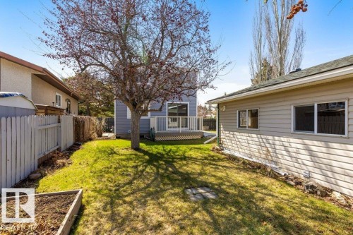 Spacious rear yard with a mature tree, green lawn, and a raised garden bed - 3736 12 Avenue, Edmonton, AB - Outdoor