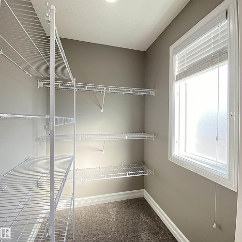 Walk-in closet featuring built-in wire shelving, neutral-toned carpeting, and a window with blinds - 1520 105 Street, Edmonton, AB - Indoor With Storage