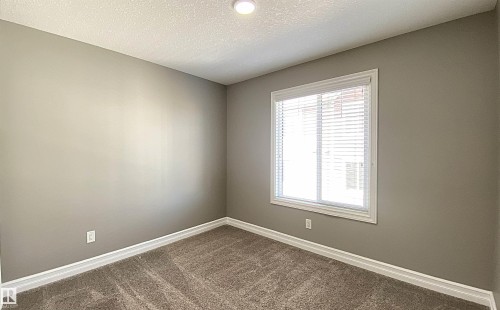 Neutral gray walls complemented by textured carpeting and white baseboards - 1520 105 Street, Edmonton, AB - Indoor Photo Showing Other Room