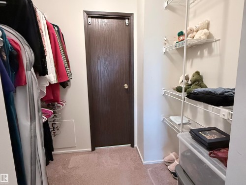 Walk-in closet featuring light beige wall paint, plush carpeting, a wood-finish interior door, and extensive wire shelving for organization - 2071 Saddleback Road, Edmonton, AB - Indoor With Storage