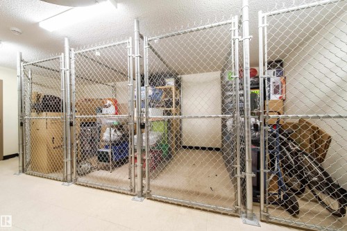 Individual storage units featuring chain-link fencing, concrete flooring, and fluorescent lighting - 117 2229 44 Avenue, Edmonton, AB - Indoor With Storage