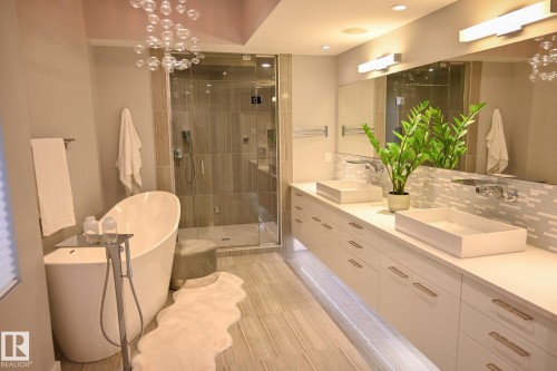 9509 99B Street, Edmonton, AB - Indoor Photo Showing Bathroom