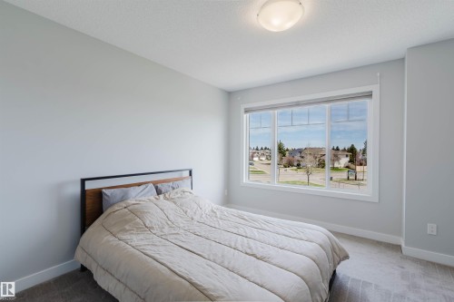 Bright room featuring a large window with white framing, light gray walls, a textured ceiling, and gray carpet flooring - 3 11373 12 Avenue, Edmonton, AB - Indoor Photo Showing Bedroom
