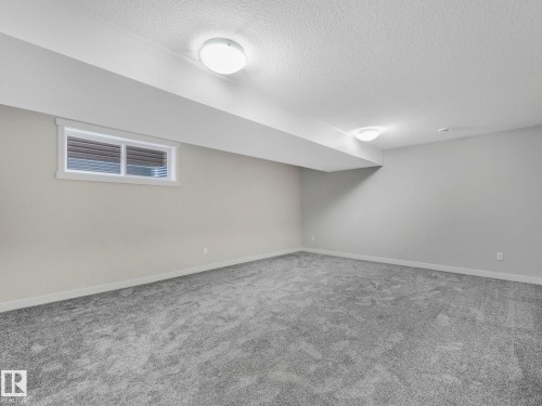 Spacious basement rec room - 8318 79 Avenue, Edmonton, AB - Indoor