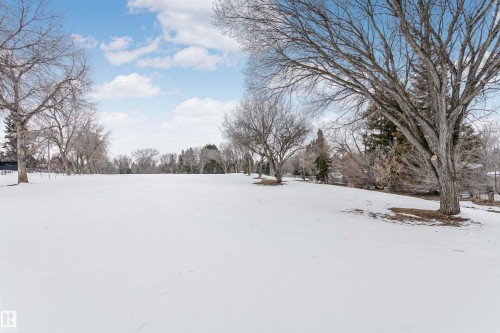 Expansive outdoor area featuring a wide snow-covered field and mature trees - 24 Sable Crescent, St. Albert, AB - Outdoor With View