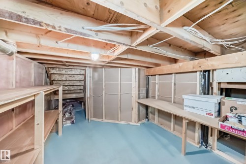 1221 Cunningham Drive, Edmonton, AB - Indoor Photo Showing Basement