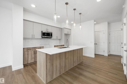 1062 Cristall Crescent, Edmonton, AB - Indoor Photo Showing Kitchen With Upgraded Kitchen