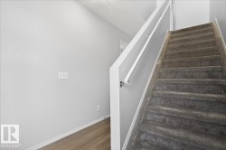 Carpeted staircase with white handrail and light gray wall paint - 