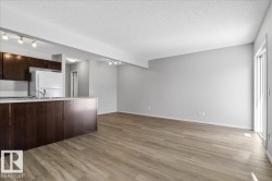 Open-concept living space featuring wood-finish flooring, light gray wall paint, and a kitchen island with dark wood cabinetry - 