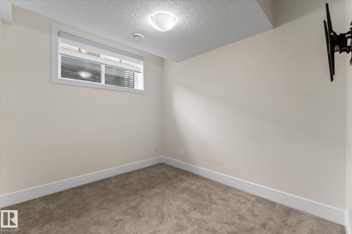 Basement family room - 14914 108 Avenue, Edmonton, AB - Indoor Photo Showing Other Room
