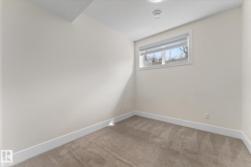 Bedroom #3 (basement) - 14914 108 Avenue, Edmonton, AB - Indoor Photo Showing Other Room