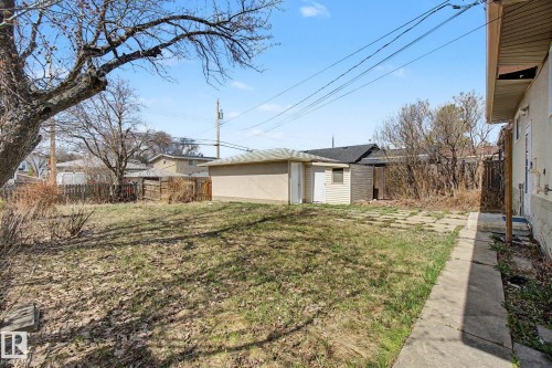 Expansive backyard featuring a grass lawn, mature tree, concrete patio, detached garage, and a smaller shed structure - 6048 105B Street, Edmonton, AB - Outdoor