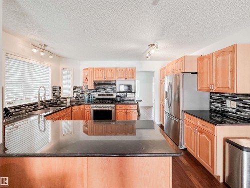 10020 97 Avenue, Edmonton, AB - Indoor Photo Showing Kitchen With Stainless Steel Kitchen With Double Sink