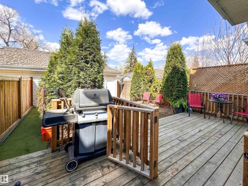 10020 97 Avenue, Edmonton, AB - Outdoor With Deck Patio Veranda