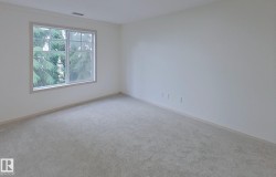 Spacious room featuring neutral carpeting, white wall finishes, and a large window with white muntins - 