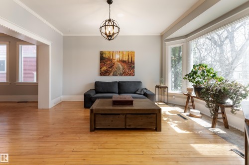 Bright and sunny living room with bay window and birch hardwood floors - 10956 81 Avenue, Edmonton, AB - Indoor