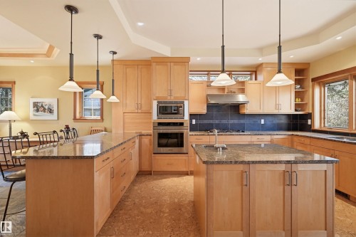 9212 118 Street, Edmonton, AB - Indoor Photo Showing Kitchen With Double Sink