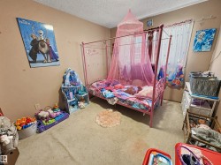 Image quality insufficient for description - 