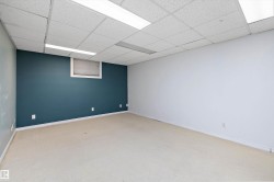 Carpeted room featuring a drop ceiling with integrated fluorescent lighting, a deep teal accent wall, and a white wall - 
