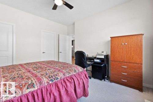 Carpeted room featuring a ceiling fan with light fixture, white walls, and white interior doors - 3623 6 Street, Edmonton, AB - Indoor Photo Showing Bedroom