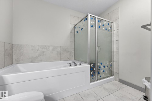 22652 97 Avenue, Edmonton, AB - Indoor Photo Showing Bathroom