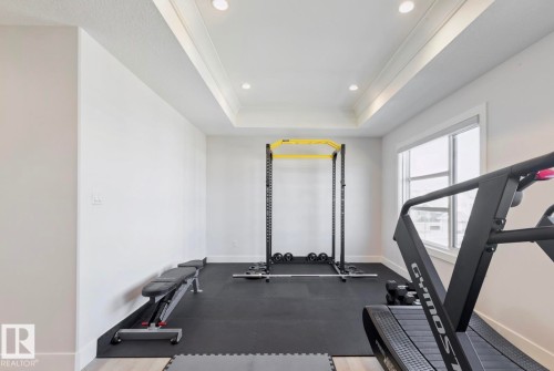 9751 223 Street, Edmonton, AB - Indoor Photo Showing Gym Room