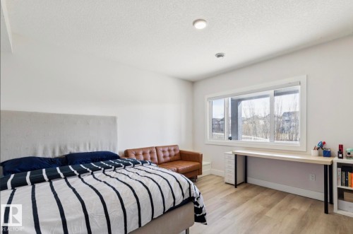 Basement - 9751 223 Street, Edmonton, AB - Indoor Photo Showing Bedroom