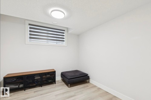 Basement - 9751 223 Street, Edmonton, AB - Indoor Photo Showing Other Room