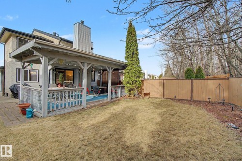 Expansive backyard featuring a covered deck with railings, sliding glass door access, a wood privacy fence, and mature evergreen trees - 17305 60 Ave, Edmonton, AB 